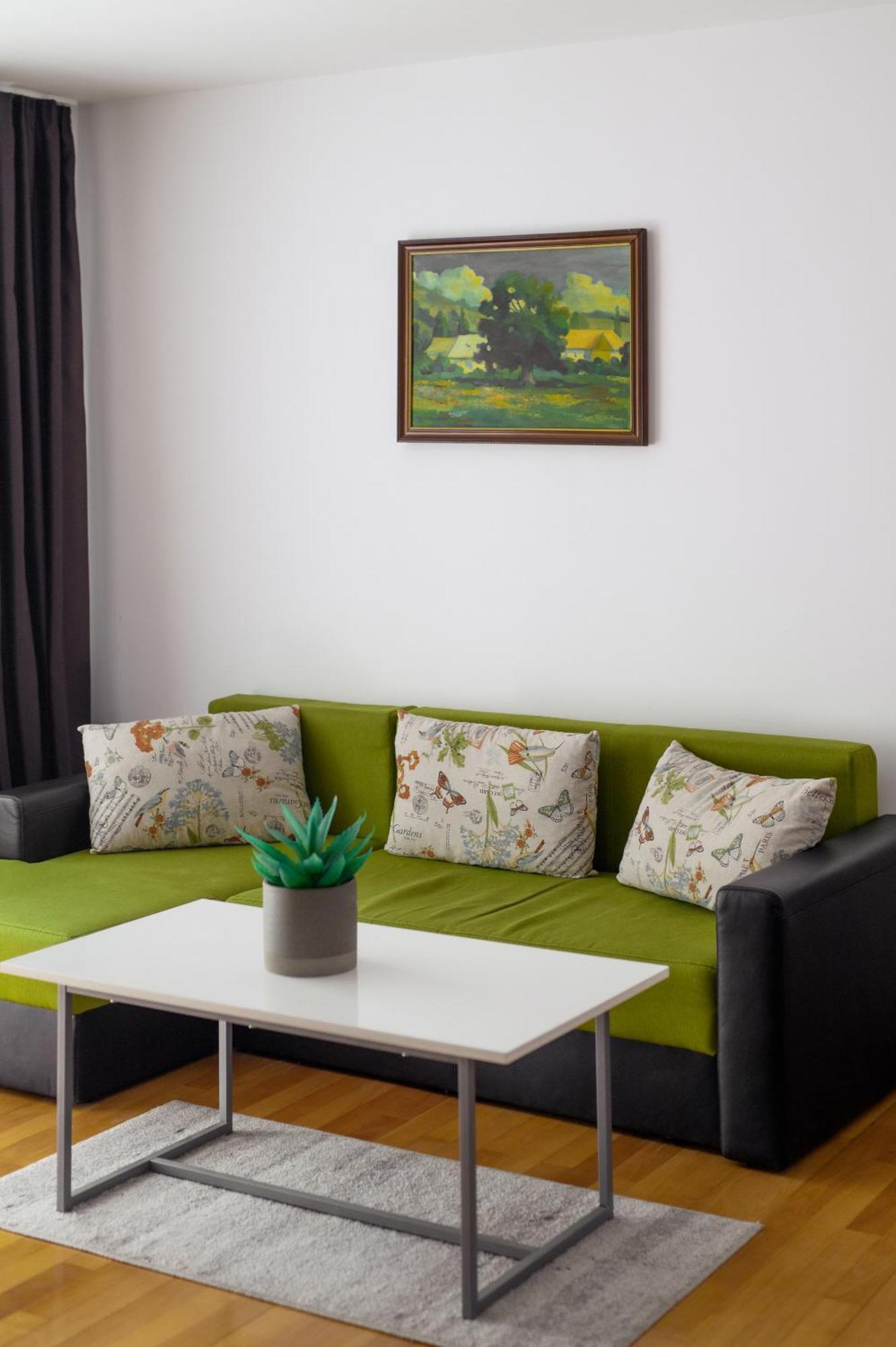 Apartament Family Rivulus 9 Baia Mare Exterior photo